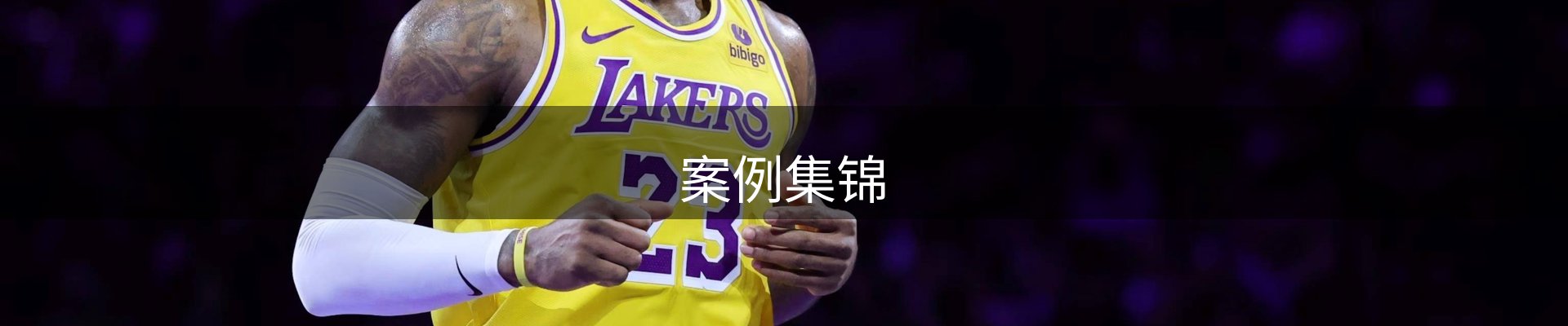 内页banner